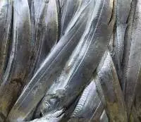 Frozen Ribbon Fish AA Grade
