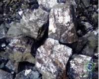 Lead
