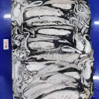 Cuttlefish