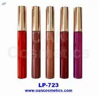 Matte Liquid Lip Color Lip Gloss