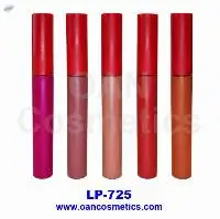 Matte Liquid Lip Color Lip Gloss