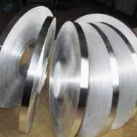 Stainless Steel Strips