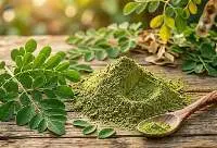 Herbs