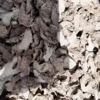 Dry Ginger