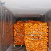 Fresh Onion