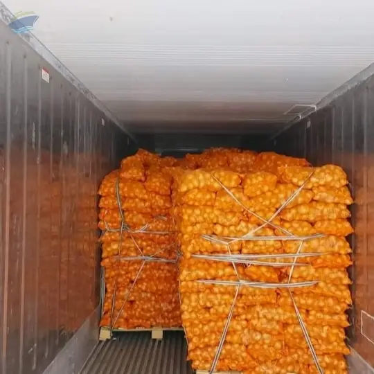 Fresh Onion