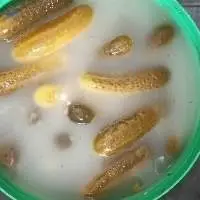 Cucumber In Brine 100 T