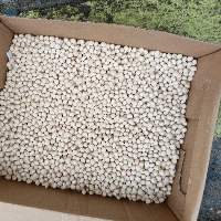 Lupin Sweet Seeds 100 T