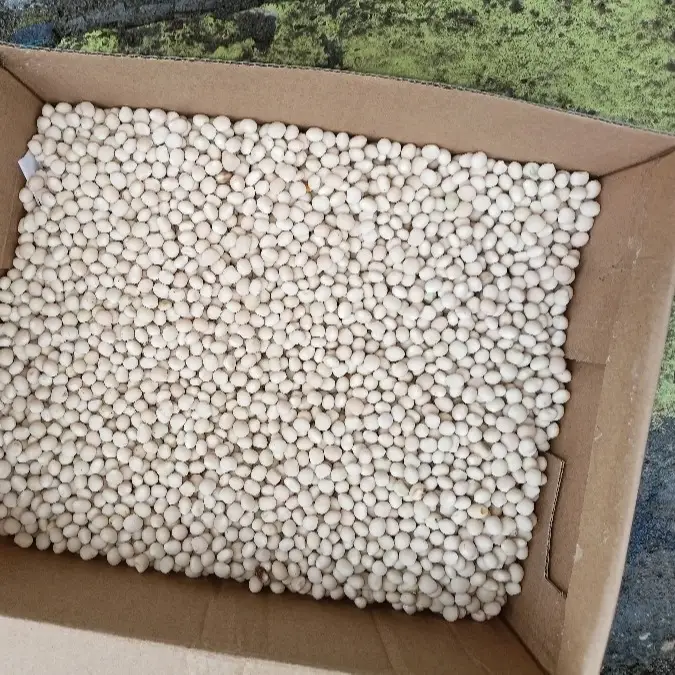 Lupin Sweet Seeds 100 T