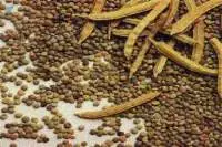 Guar Gum