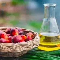 Palm Acid Oil (PAO)