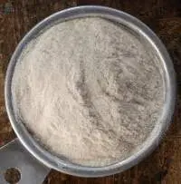 Primary Viscosifying Polymer Xanthan Gum