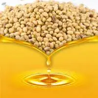 Soya Refined Oil
