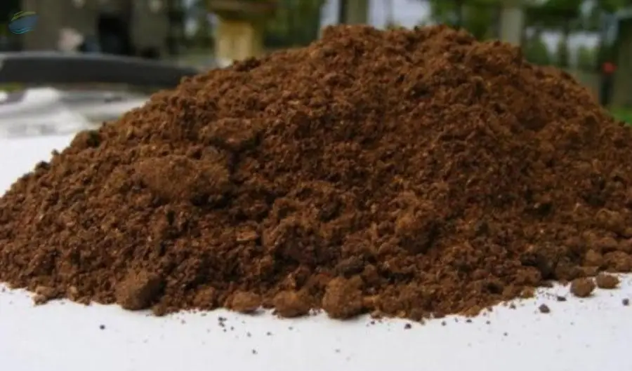 Palm Kernel Cake
