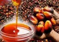 Crude Palm Oil