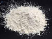 Modified Starch And Steam Starch