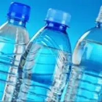 Bisphenol A (BPA)