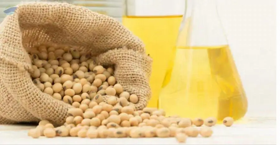 Soybean Oil