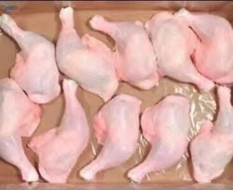 Chicken