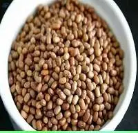 Moat Beans (Matki)