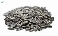 Sunflower Seeds