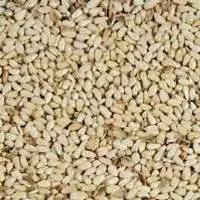 Safflower Seeds