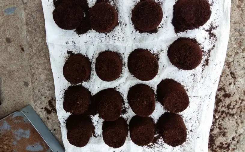 Coco Peat