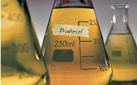 Biodiesel B100