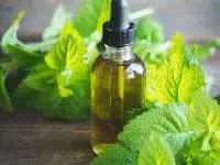 Lemon Balm (Melissa Officinalis) Extract