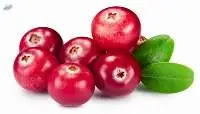 Cranberry Extract