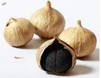Black Garlic Extract