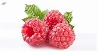 Raspberry Powder