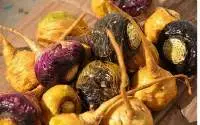 Maca Extract