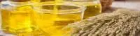 gamma oryzanol