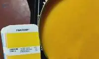 Alphonso Mango Pulp In Tin
