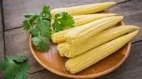 Baby Corn In Tin