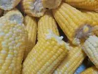 Sweet Corn