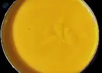 Canned Mango Pulp