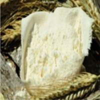 Wheat Gluten