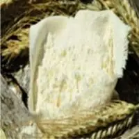 Wheat Gluten