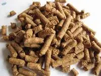 Distillers Dried Grains