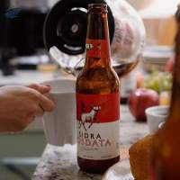Apple Cider