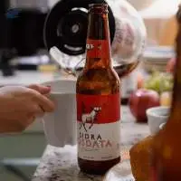 Apple Cider
