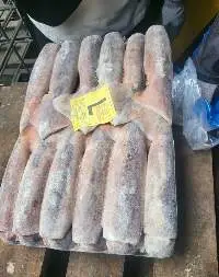 Illex Squid from Korea