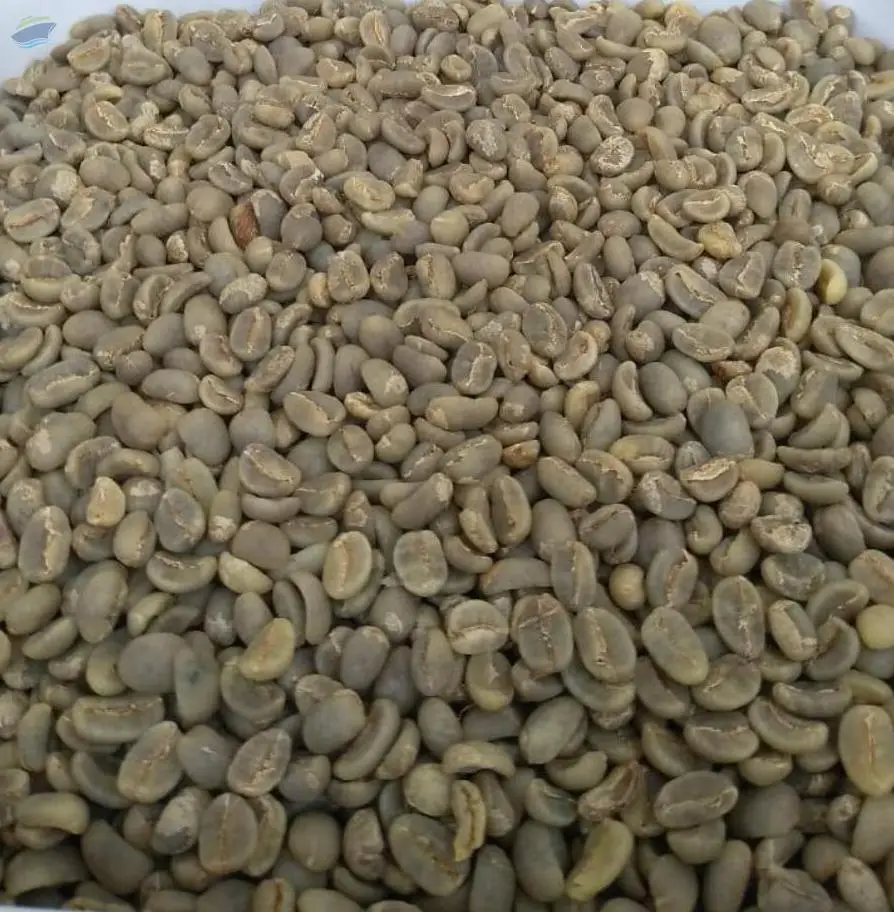 Arabica & Robusta Coffee Bean (Roasted/Unroasted