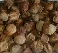 Gambier Extract 