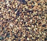 Cocoa Bean