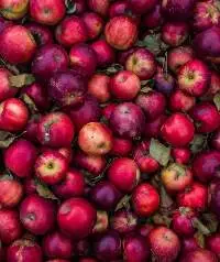 Apple  Pulp Puree & Concentrate