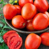 Tomato