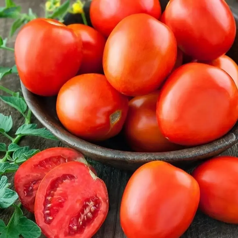 Tomato